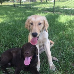 Meet your Posher, Lilian